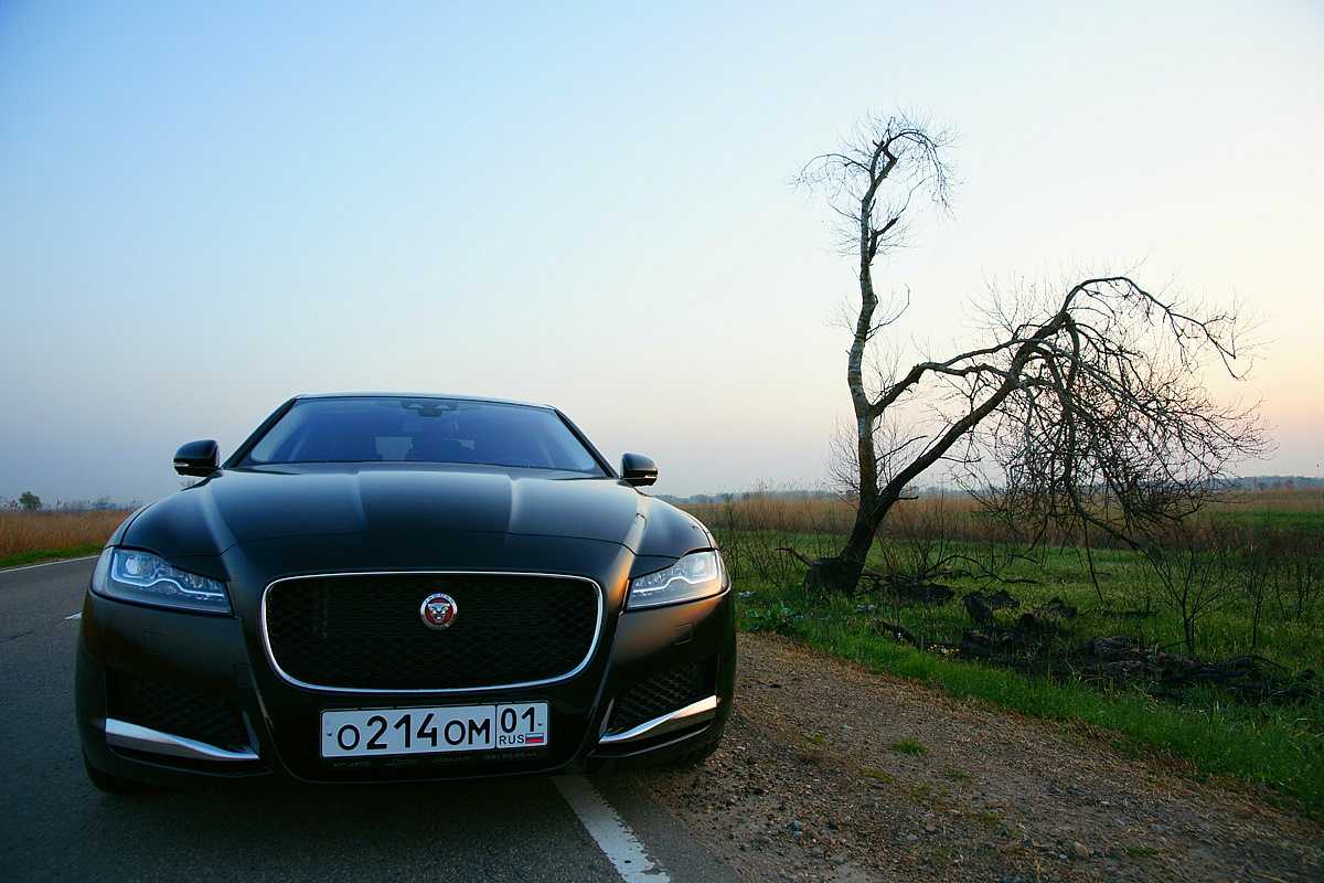 Обновлённый jaguar xf: с перекроенным салоном и урезанной моторной гаммой, без «механики»