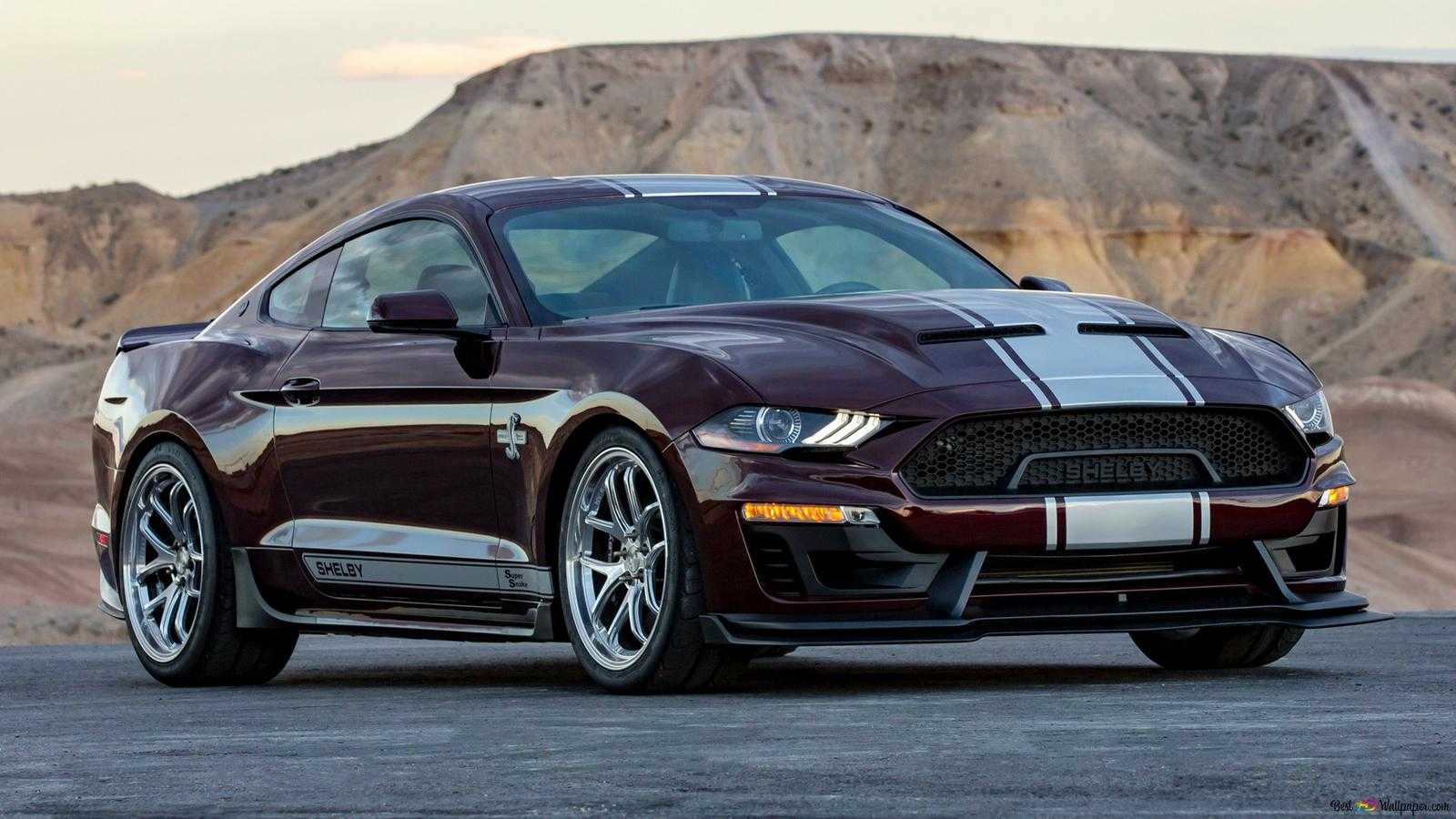 2013 ford mustang shelby gt500 super snake: ultimate guide