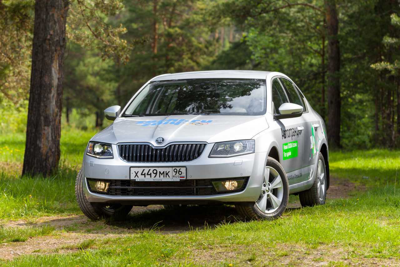Отзыв о skoda octavia a8 2021 года алексей (домодедово)