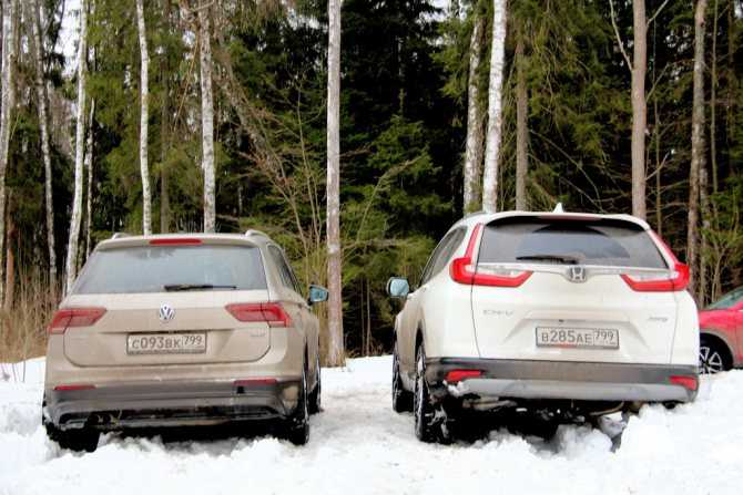 Сравнение honda cr-v и volkswagen tiguan. что лучше?