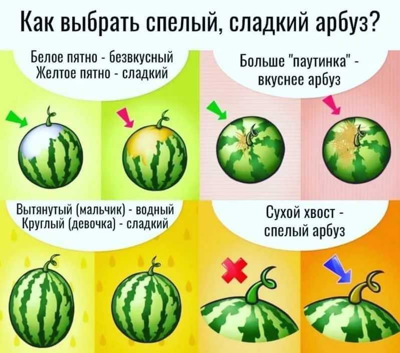 Как правильно подобрать автошколу в ярославле?